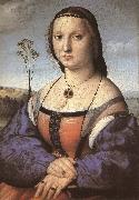 RAFFAELLO Sanzio Portrait of Madali oil painting